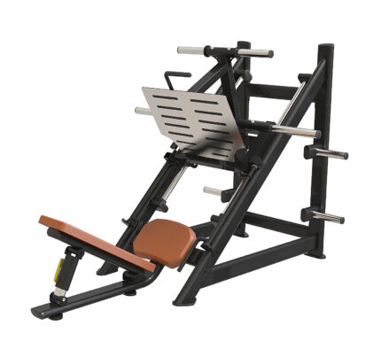 45 Degree Leg Press